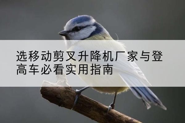 钟山电动升降机厂家-选移动剪叉升降机厂家与登高车必看实用指南